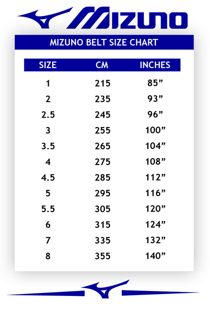 Mizuno Silver IJF Approved Black