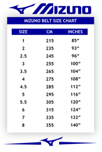 Mizuno Silver IJF Approved Black